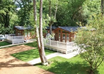 Canford Premier Lodge at Merley Woodland Lodges in 