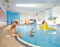 Relax in the swimming pool at Narbeth; Pendine, Nr Carmarthen