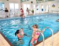 Relax in the swimming pool at Petrel; Brixham