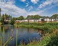 Woodland Vale Holiday Park in Narberth - Ludchurch
