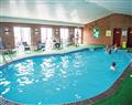 Enjoy the facilities at Platinum Lodge 20; New Quay