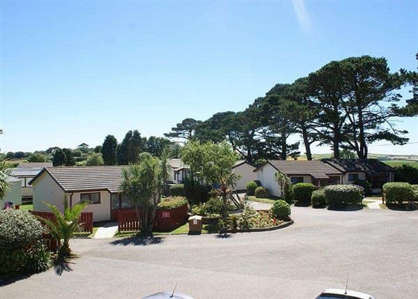 Gold Plus 2 Caravan (sleeps 6) (Pet) at Seaview Holiday Village in Polperro, near Looe, Cornwall