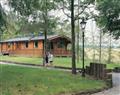 Enjoy a family short break at Retreat Lodge; Louth