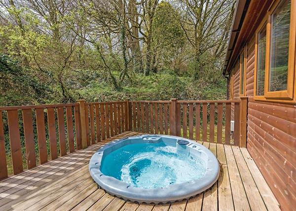 Maple Lodge Plus (Pet) at River Valley Country Park in Penzance, Relubbus