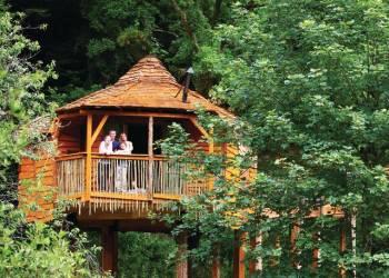 Golden Oak Plus Treehouse at Sherwood Forest Lodges in Mansfield, Nottinghamshire