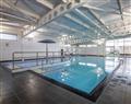 Enjoy a dip in the pool at Silver 8; Abergele