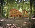 Thorpe Lodges in Thetford Forest - Norfolk