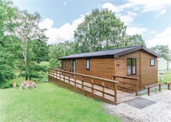 Fawn View Lodge at Silver Trees in Rugeley, Cannock Chase