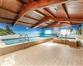 Relax in the swimming pool at Standard 2 Spa; Cheddar