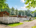 Merley Woodland Lodges in Wimborne, Nr Bournemouth - Dorset