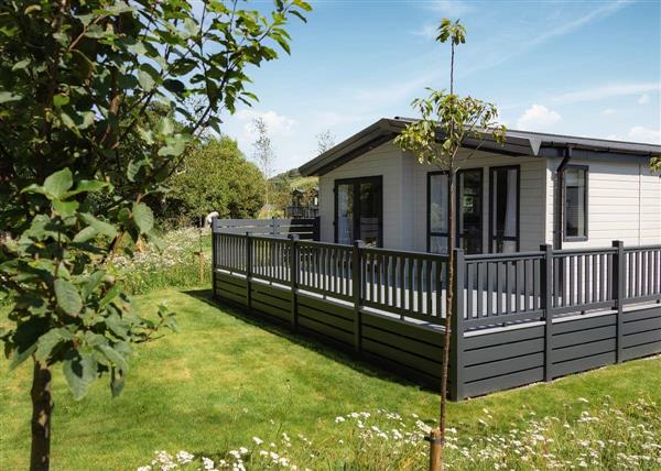 Premium 3 Bed at Sun Haven Holiday Park in 