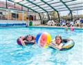 Relax in the swimming pool at Symphony 2 Pet; Axminster