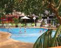 Relax in the swimming pool at Talacre Elm 3; Holywell