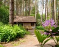 The Foragers Lodge (Pet Friendly) in Flaxton, York, North Yorkshire