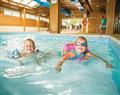 Enjoy a dip in the pool at The Retreat; Narberth