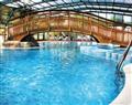 Enjoy a dip in the pool at The Smugglers Cottage; Cardigan