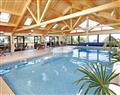 Enjoy a dip in the pool at Tregea Lodge; Redruth