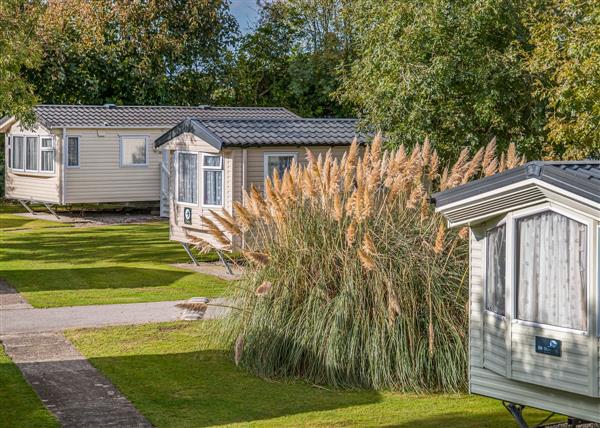 Willow Premier Holiday Home at Trevarth Holiday Park in Truro, Cornwall