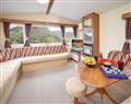 The family will have a great time at Valley Views Lodge 2; Caersws
