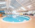 Relax in the swimming pool at Violet; Holywell