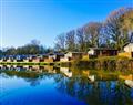 The family will have a great time at Waterside Lodge; Honiton