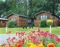 The family will have a great time at Wickham Caravan; Southampton