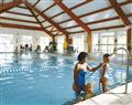 Relax in the swimming pool at Widemouth Primula Silver; Bude