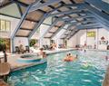 Relax in the swimming pool at Willow; Wadebridge