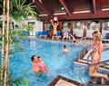 Relax in the swimming pool at Woodland Cabin; Newton Abbot
