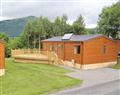 The family will have a great time at Woods Lodge; Alloa