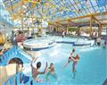 The family will have a great time at Yelland WF; Braunton