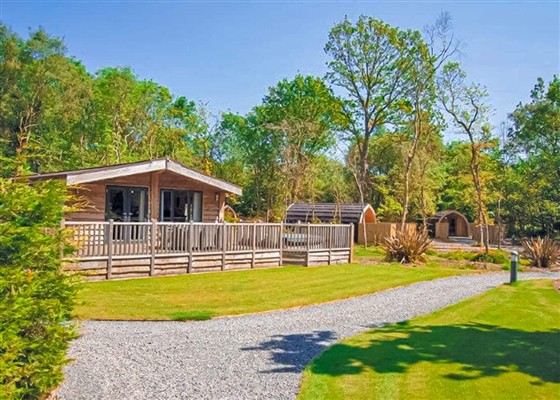 Acorn Retreat Plus Pet