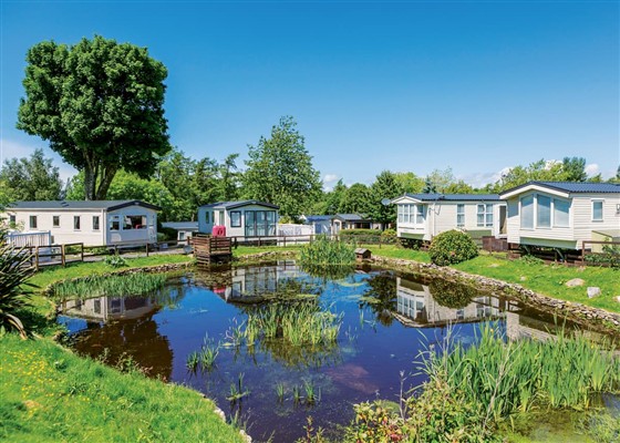 Adapted Gold Plus 2 Caravan