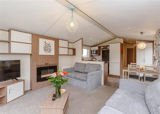 Alder Executive (Pet)