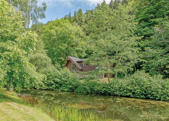 Birches Lodge Log Burner