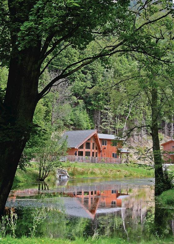 Birches Lodge VIP (Pet)