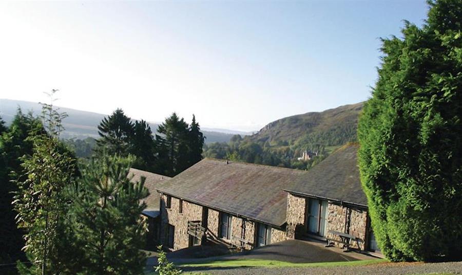 Pine Cottage Self Catering Snowdonia Dog Friendly Brecon Beacons