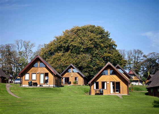 Bronze Villa 3