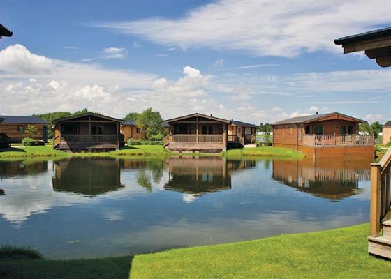 Bulrush Lakeview (Pet)