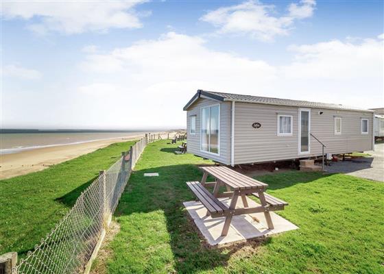 Castaways Oyster 8 Sea View (Pet)