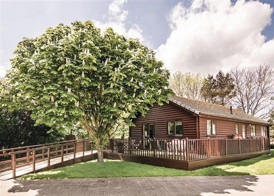 Cedar Lodge