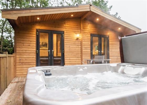 Chatsworth Elite Vogue 1 Spa (Pet)