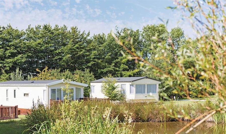 Dartmoor View Okehampton, Devon Self catering holidays and short