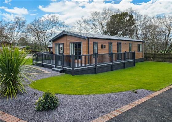Deluxe Lodge Platinum 2