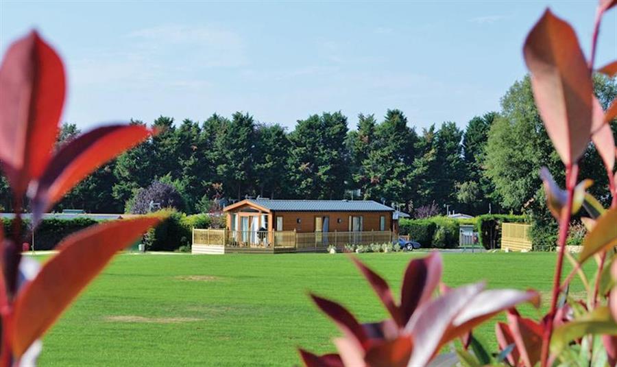 Edgeley Park Guildford, Surrey Self catering holidays and short break family holidays in