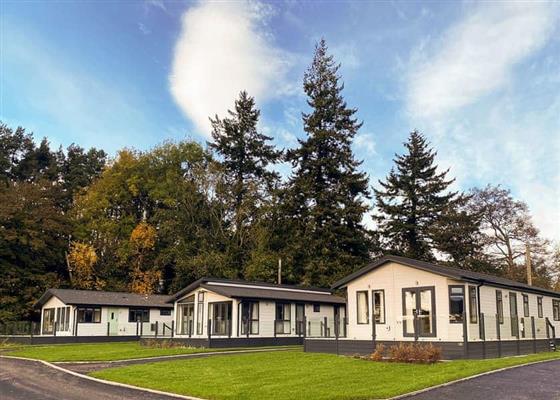 Esk Lodge VIP Pets