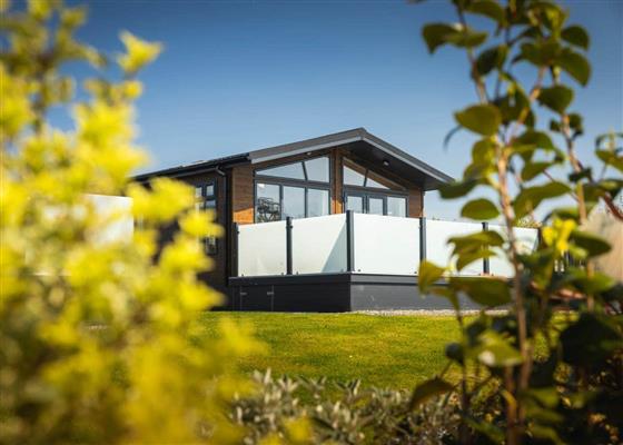 Fairground Lodge (sleeps 6) Pet