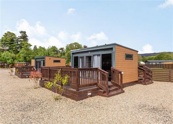 Family Glamping Pod