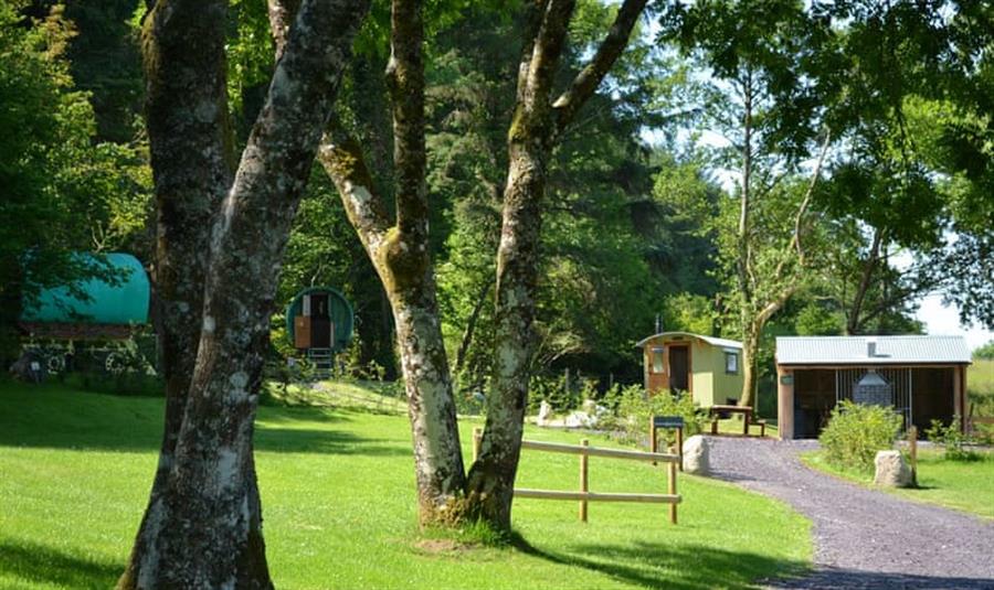 Glampio Gelli Glamping  Stunning UK Hot Tub Break Gwynedd