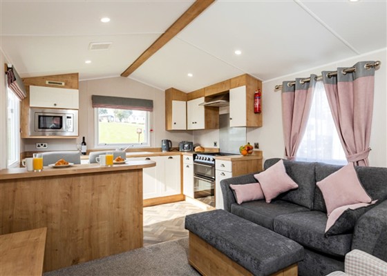 Gold Plus Caravan with Decking 1(Pet Friendly)